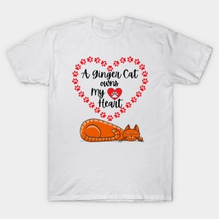 A Ginger Cat Owns My Heart - Orange Cat Lover Design T-Shirt